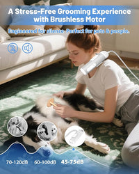 Hands-Free Dog Hair Dryer – Low Noise Pet Grooming Blower for Small & Medium Dogs Cats, Fast Drying, Adjustable Heat & Speed, Portable (Gray)