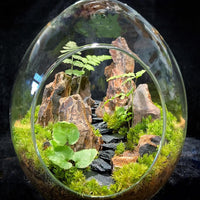 Natural Rocks Seiryu Stone 1-2.5 Inches Decorative Stones for Fairy - Dragon Stone / 2lb(1-2.5Inch) - image 4