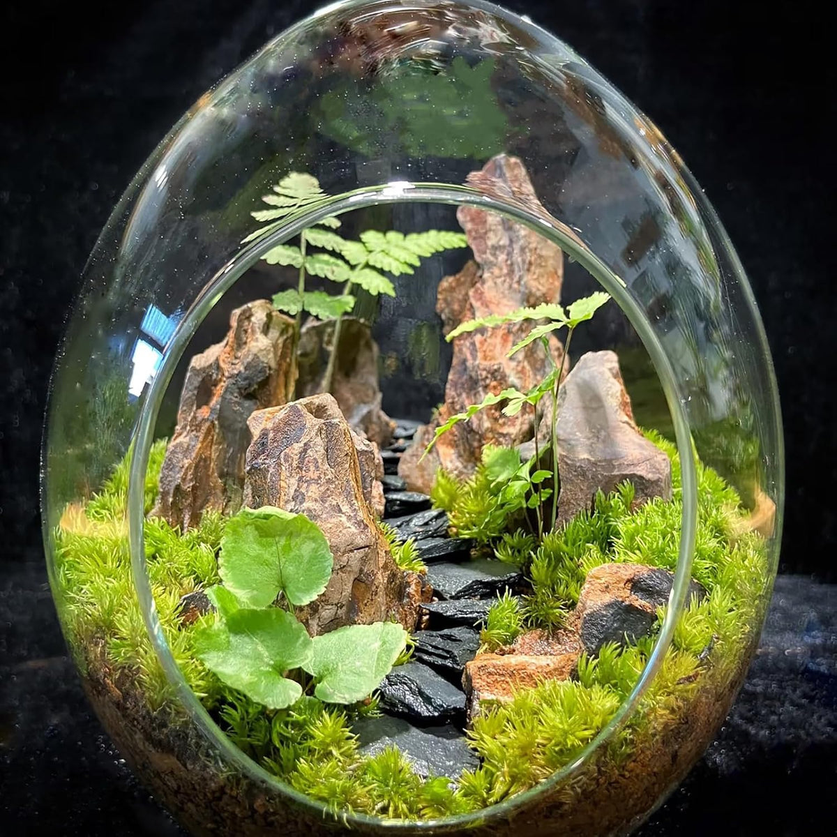 Natural Rocks Seiryu Stone 1-2.5 Inches Decorative Stones for Fairy - Dragon Stone / 2lb(1-2.5Inch) - image 4