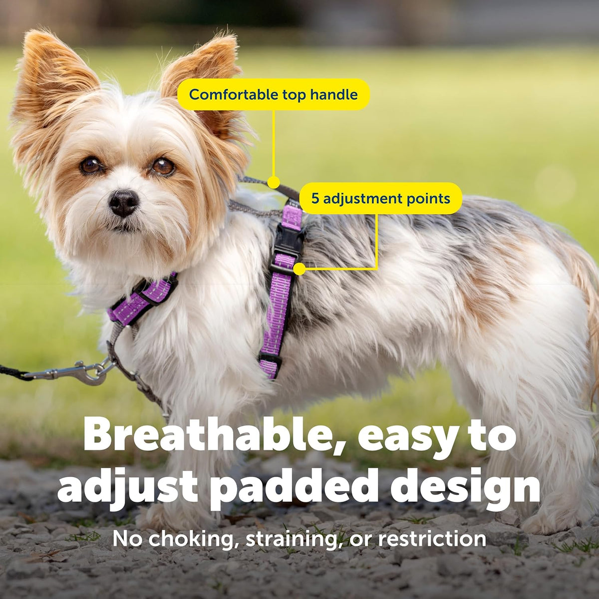 PetSafe 3 in 1 No-Pull Dog Harness, Walk, Train or Travel - Plum / Extra Small (Pack of 1) - image 4