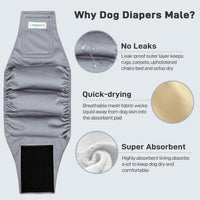 Langsprit Small Male Dog Diapers for Doggie Puppy - Green Grey / Large / 5 - image 2