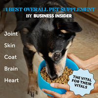 Omega 3 Fish Oil Supplement for Dogs & Cats (32oz), Wild Caught Omega 3 Fish Oil for Skin and Coat Health, Supports Shedding, Skin & Coat, Immunity, Joint, Brain & Heart, EPA + DHA
