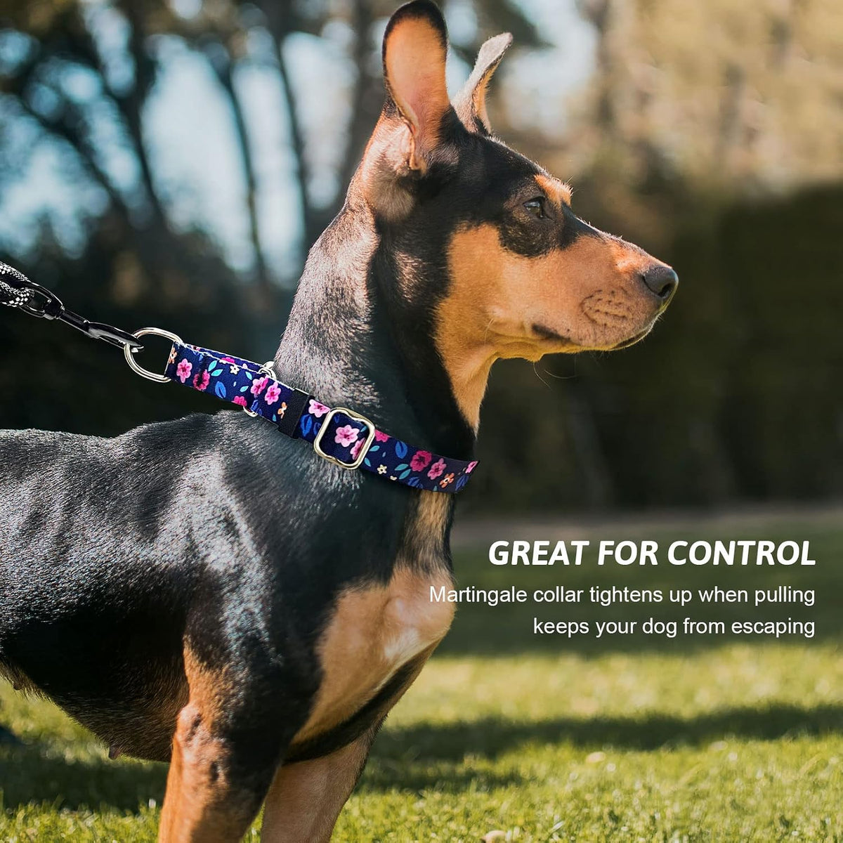 Martingale Dog Collar with Buckle - Blue Flower / Medium - image 4