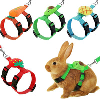 4 Sets Adjustable Bunny Rabbit Harness and Leash Set Small Pet Cute
