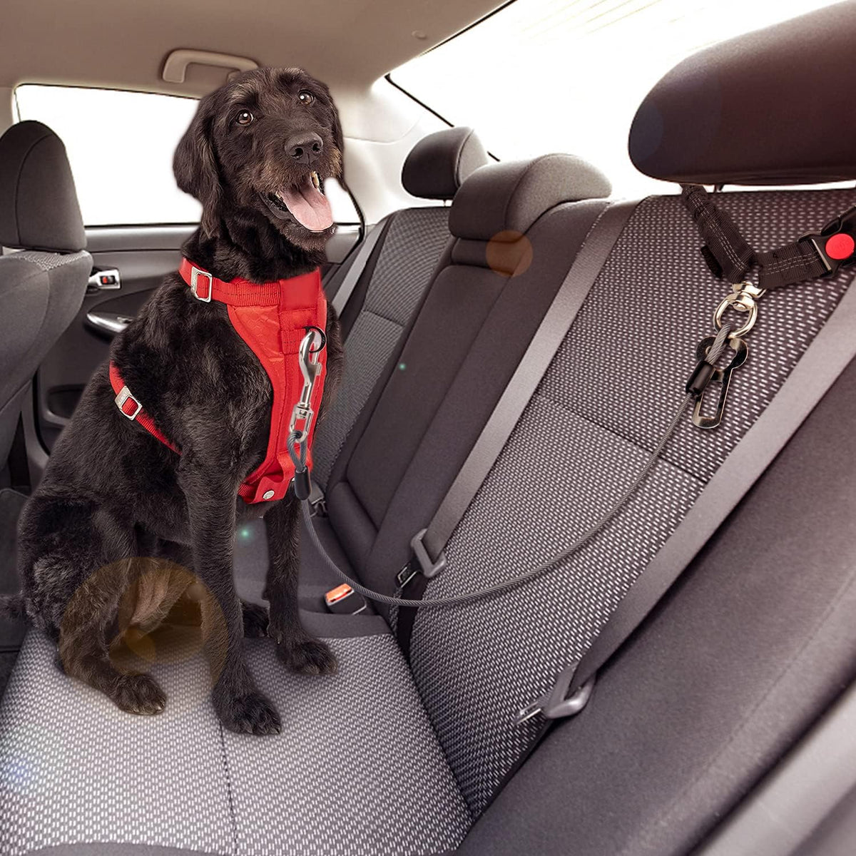 Chew Proof Dog Car Seat Belt - Black / 1 Pack - image 4