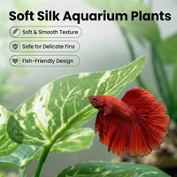 2-Pack Aquarium Decor Fish Tank Decorations 6-inch Betta Fish Tank - C（green 10 Pack） - image 3