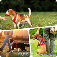 WINSEE Service Dog in Training Harness with 5 PCS Patches, Reflective Tactical Dog Vest Harness, Adjustable Soft Oxford Pet Harness with Easy Control Handle, Hook & Loop Panels for Walking Hiking