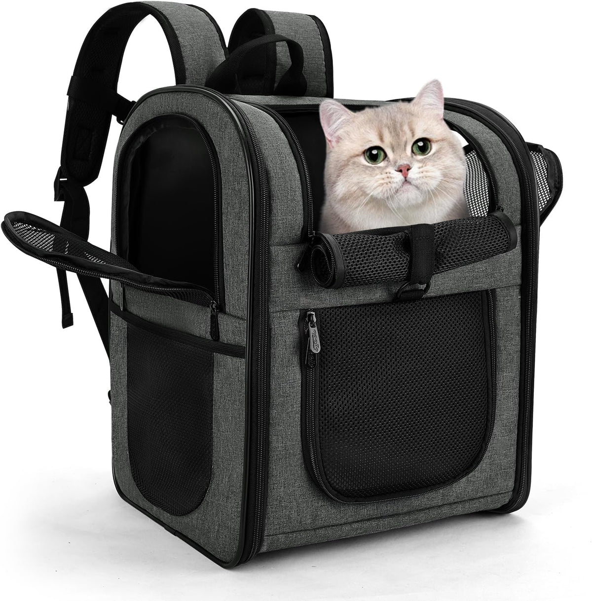 Apollo Walker Cat Backpack Carrier, Support Frame - Gray / Medium-Standard