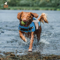 Dog Life Jacket, Small Float Vest for Swimming Boating Kayaking - Small / New Blue - image 4