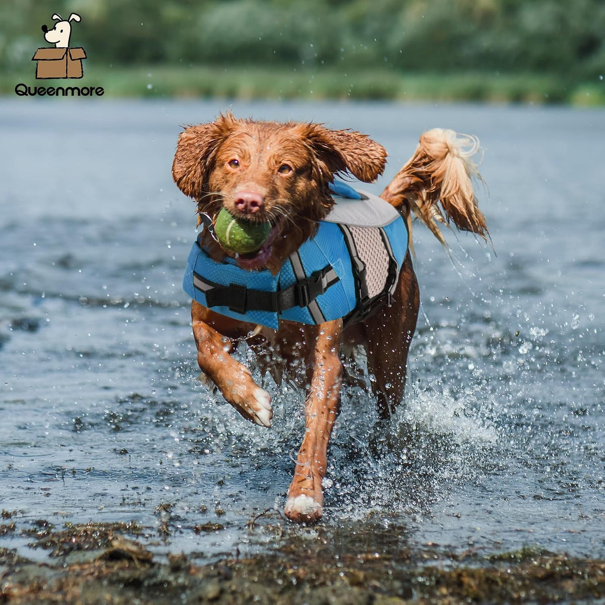 Dog Life Jacket, Small Float Vest for Swimming Boating Kayaking - Small / New Blue - image 4