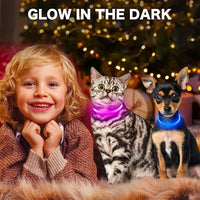 BSEEN Light Up Dog Collar, High Visibility LED Dog Collar Rechargeable- Rainproof TPU Cuttable Glowing Pet Collar for Small Dogs & Cats - Puppy Safety Lights for Night Walking (XS- Blue 40cm)