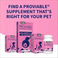 Nutramax Laboratories 30 Count Proviable Health Supplement for Cats and Dogs (PROVDC30)