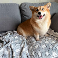 1 Pack 3 Puppy Blanket, Fleece Pet Small Dog Blanket for Puppy Cat, 40"x30" – Essentials for Dogs - Medium(29"x20") / Star/Series - image 3
