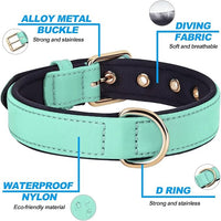 Didog Soft Padded Dog Collars for Medium Dogs, Lightweight and Breathable Dog Collar with Metal Buckle, Green, L