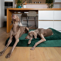 Large Dog Bed Orthopedic Memory Foam Cooling Gel 35x25x8.7 in – Essentials for Dogs - Dark Green - VE / XX-Large - image 2