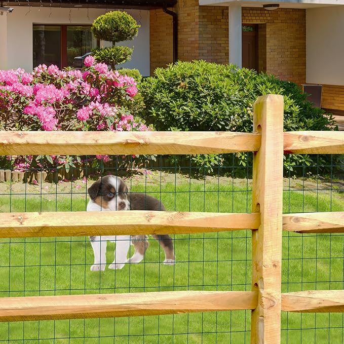 Green PVC Coated Welded Wire Fence 24 Inch x 50 Foot, 2 Inch x 3 Inch 16GA, Garden Border Fencing Roll Vinyl Coating Metal Wire Mesh for Yard Vegetable Plant Protection Poultry Netting