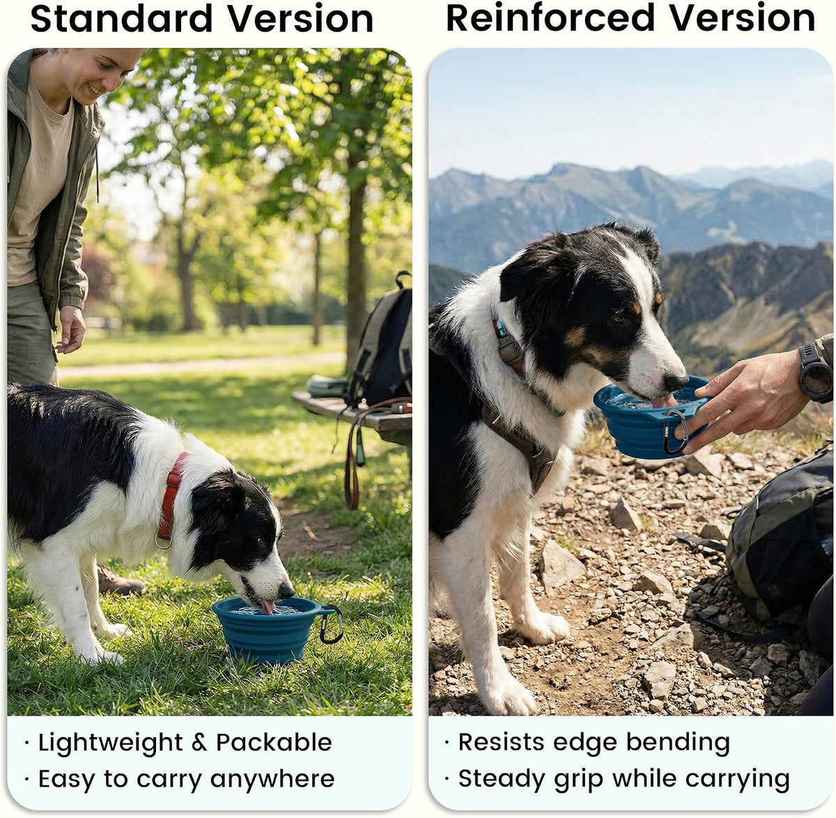 OHMO Collapsible Dog Bowls for Pet Travel, Coral&Brick Red - Steel 2x27oz / Peacock&Light Blue - image 4