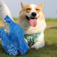 Deo Doo Dog Poop Bags with Handles & Holder, Peach Scented - Iris / 1 Count (Pack of 360) - image 2