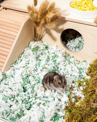 Niteangel Aspen Shaving Hamster Beddings for Syrian Dwarf Hamster Gerbil Mice Degu Rat Rabbit Bunny Guinea Pig Chinchilla Hedgehog or Other Small Pets (36L - White/Green Paper Bedding)
