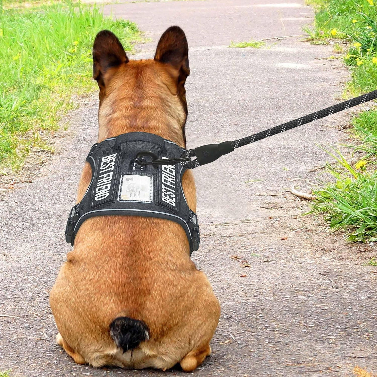 Beebiepet Tactical No Pull Dog Harness with Leash - Black / Medium - image 3