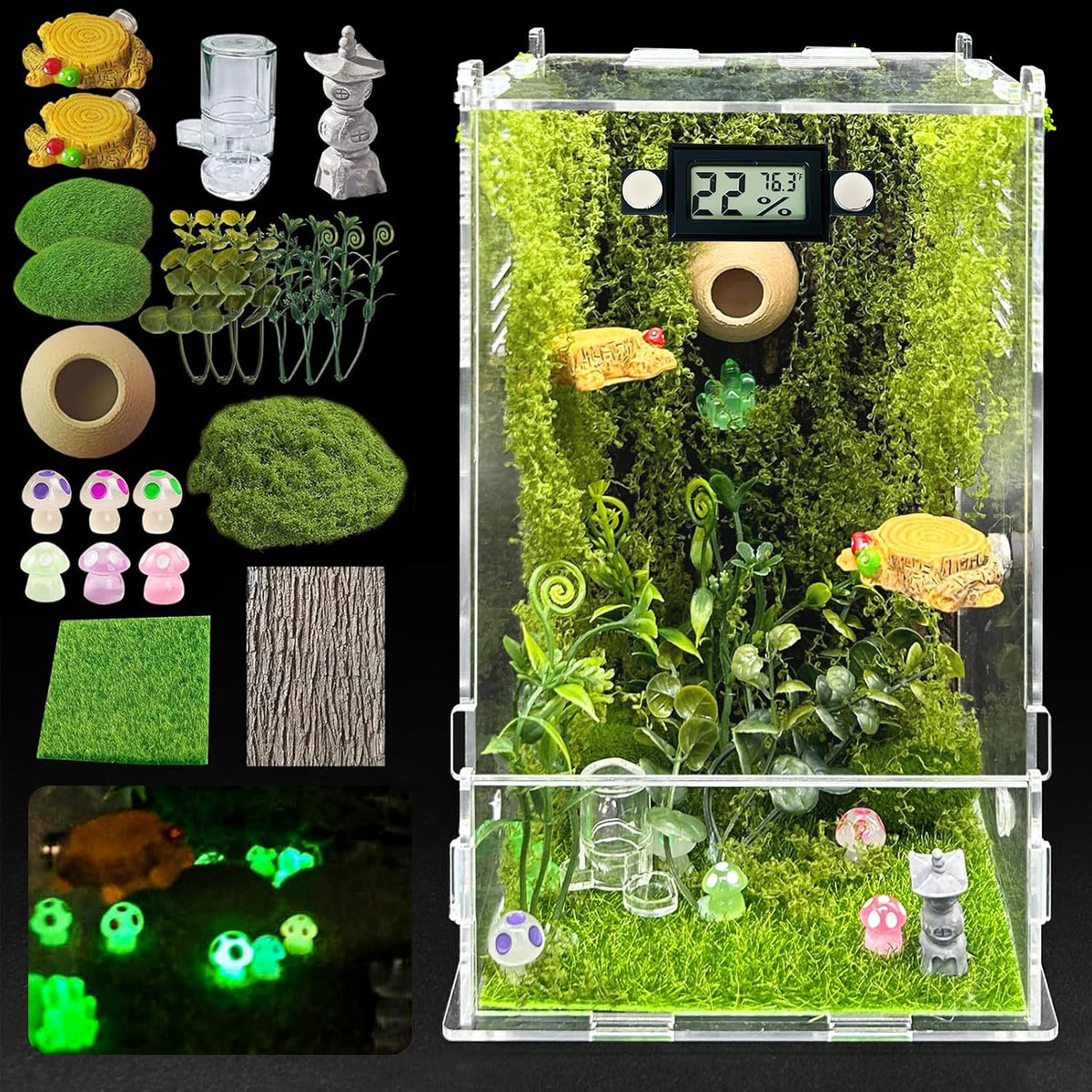 Jumping Spider Enclosure, DIY Insects Habitat - Forest