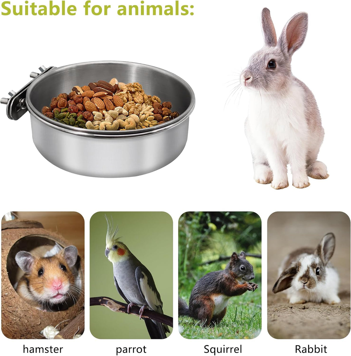 Large Bird Feeding Dish Cups with Clamp Holder - Medium / 4 Pack - image 3