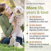 JustFoodForDogs DIY Nutrient Blend for Homemade Dog Food, Turkey & Whole Wheat Macaroni Recipe