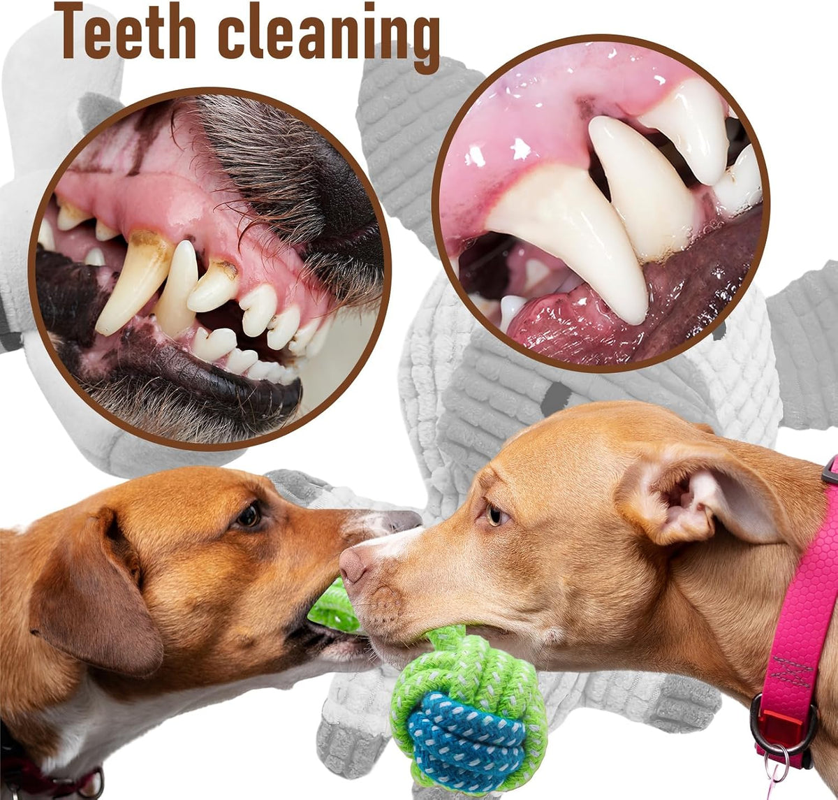 12 Pack Dog Squeaky Toys, Interactive Plush Chew Toys with Rope – Essentials for Dogs - image 3