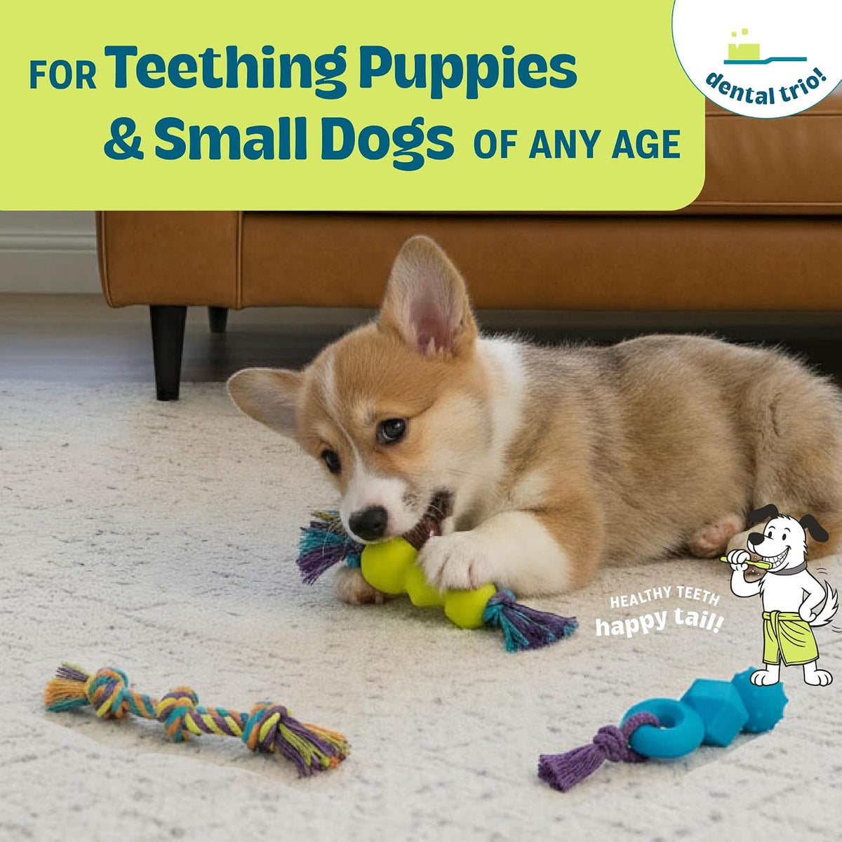 Cool Teething Stick Dental Dog Chew Toy, Soak & Freeze, 8.5" – Essentials for Dogs - Dentachew - image 4