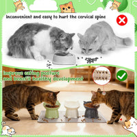 3 Pcs Raised Cat Bowl 15° Elevated Cat Food Bowl Tilted Cats Bowls - Green, Grey, White - image 2