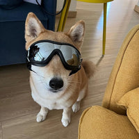 Dog Sunglasses for Large and Medium Breed, Dog Goggles for Large Dogs, Sun Protection, Windproof, Waterproof, Dustproof and Anti-Fog with Adjustable Strap for Driving, Motorcycle, Black