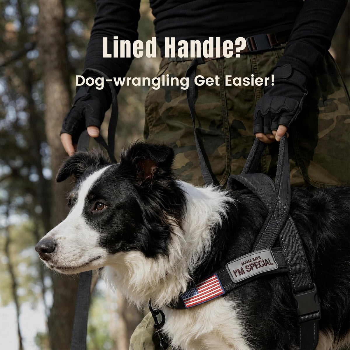 Forestpaw No Pull Dog Harness with Large Handle, Comfortable, L - L: Chest 26-31", Fit 50-80 lbs / Black - image 2