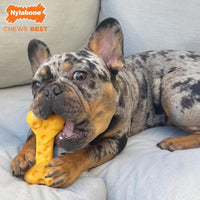 Nylabone Lobster Power Chew Toy for Dogs - Cheese 1 Pack / 1 Count (Pack of 1) - image 2