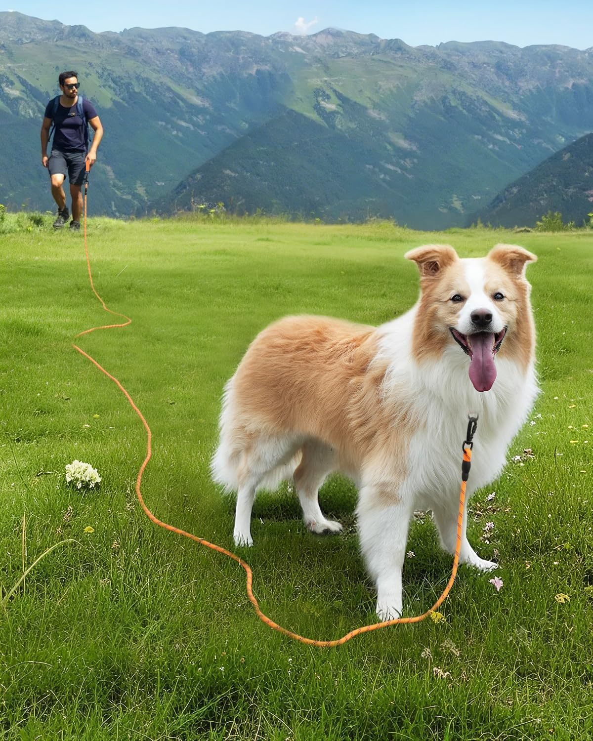 Joytale Long Dog Leash for Yard Tie Out & Recall Training - Orange / 15FT - image 2