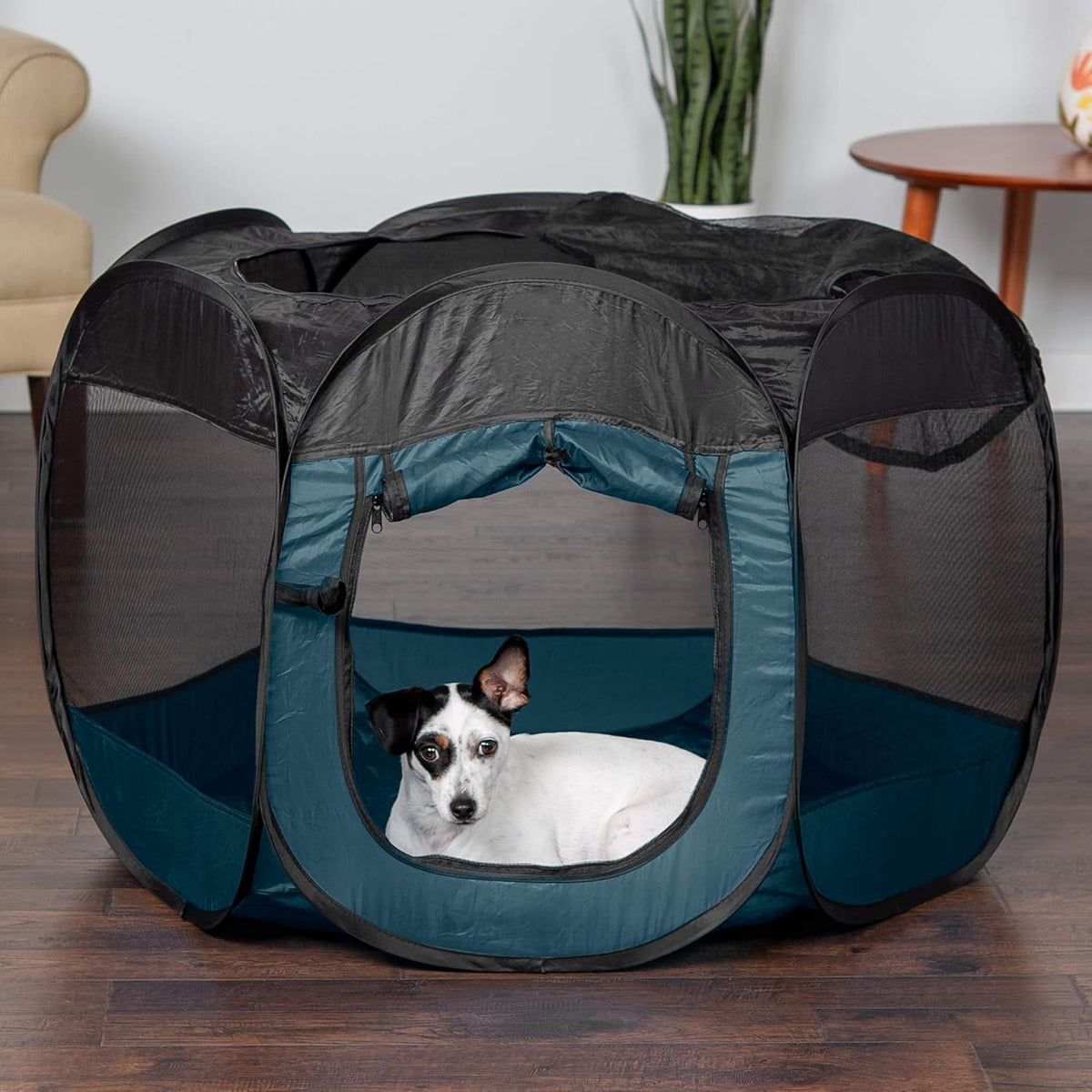 FurHaven Soft-Sided Dog & Cat Playpen - Sailor Blue / Medium - image 3