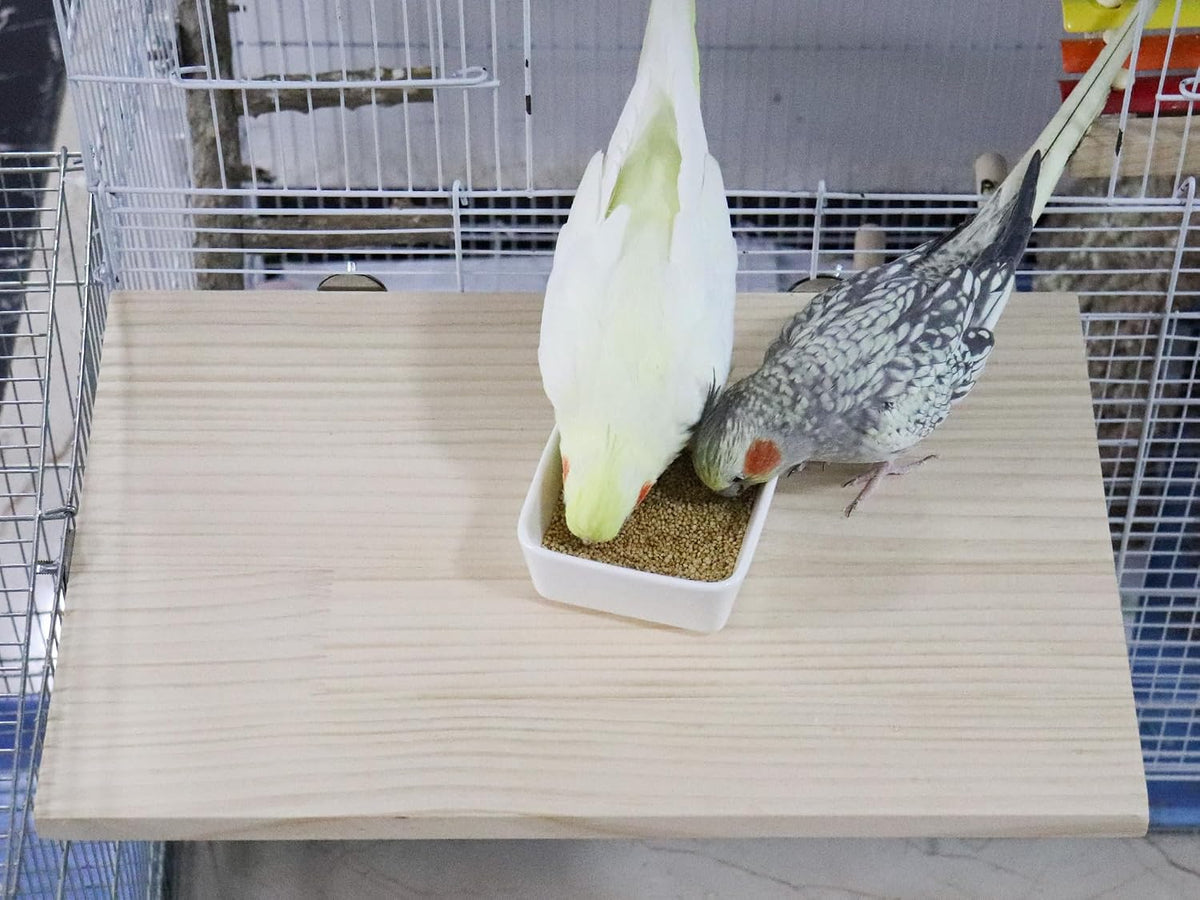 15.7×10.4 Inches Large Bird Perch Stand Platform - 21.7 × 13.8 Inches Natural - image 2