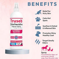 Truseb Topical Ketoconazole and Chlorhexidine Spray for Dogs, Cats, and Horses with Aloe - 8 oz (Ketoconazole & Chlorhexidine Spray, 8 oz)