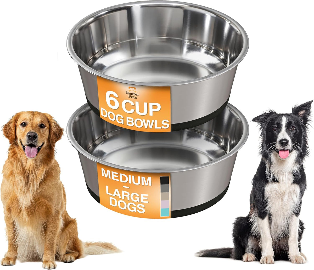 Neater Pet Brands Stainless Steel Dog Bowls with Non-Slip Rubber - 6 Cup (Set of 2) / Black