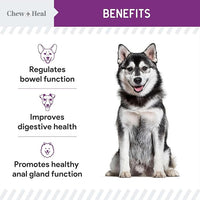 Glands Bowel Support - 14 oz of Stop The Scoot Powder for Scooting, Healthy Anal Glands, and Digestive Health - Made with Pumpkin Powder for Dogs