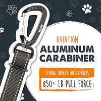 Mighty Paw Dog Seat Belt for Car - Safe Distraction Free Driving, Heavy-Duty Design with Aviation Grade Aluminum Carabiner, Adjustable Dog Seatbelt Harness for Small, Medium and Large Pets