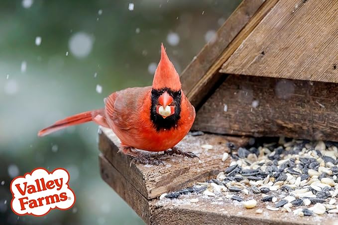 Valley Farms Fruit Nut & Berry Wild Bird Food for Outside Feeders, Bird Seed with Dried Fruit, Peanuts, Sunflower, and Safflower, High Energy Mix for Healthy Birds! (15 LBS)