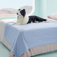 Bedsure ArcticMax Q-MAX>0.5 Premium Cooling Blanket for Medium - Powder Blue / XL(50x60")