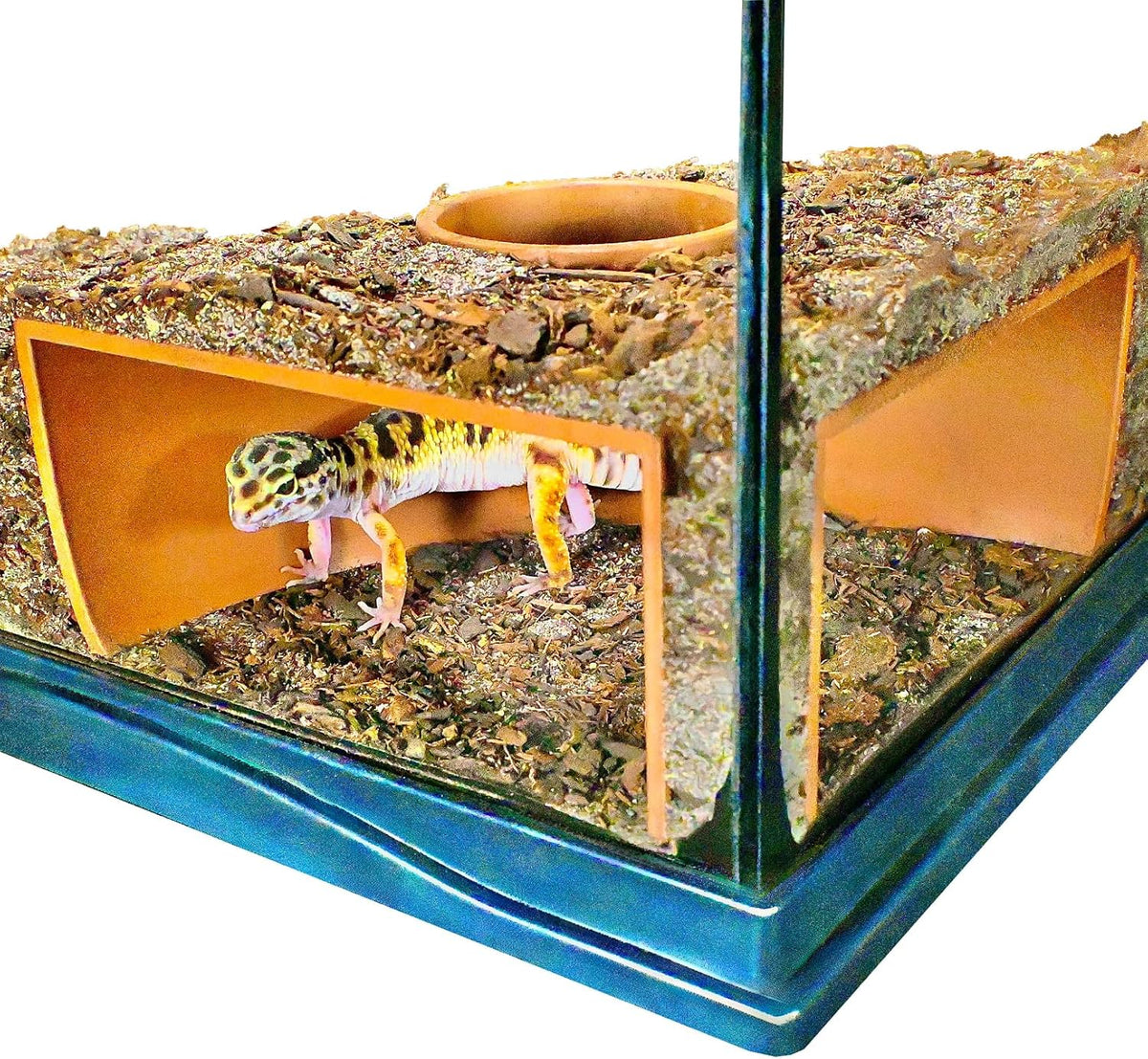 Reptile Corner Underground Cave Viewing Hide, Hognose Snake - Brown