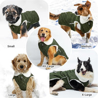 Dog Winter Coat for Cold Weather - Green / Medium - image 4