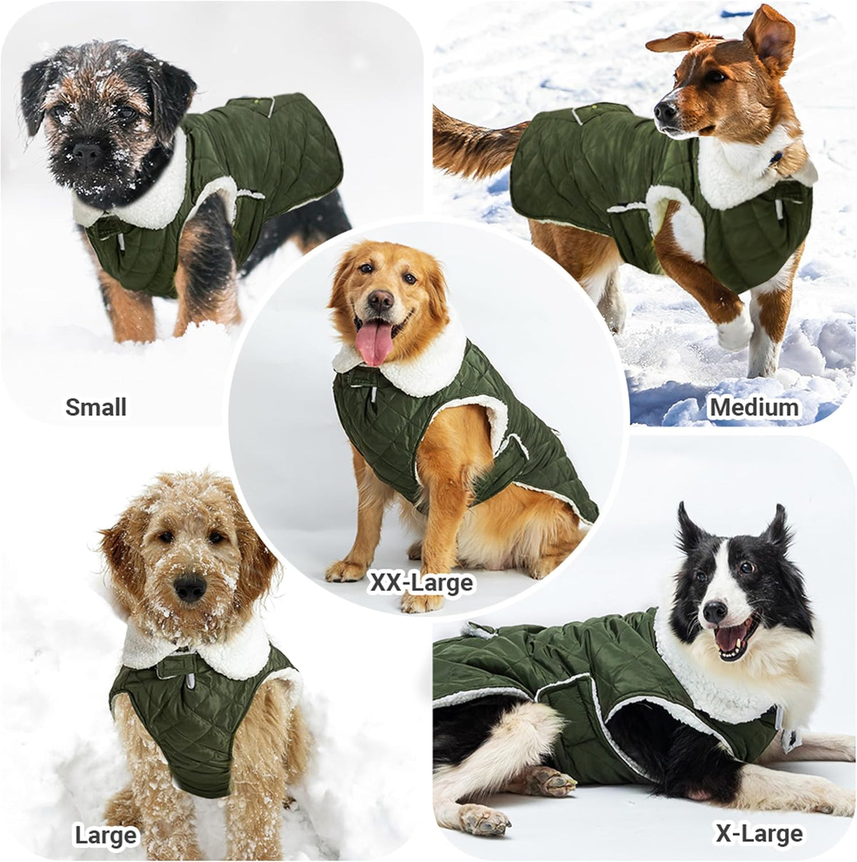Dog Winter Coat for Cold Weather - Green / Medium - image 4