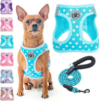Small Dog Harness and Leash Set, No Pull Puppy Pet Vest, S - XSmall(Chest Girth 13" - 14.5") / Blue Polka Dots