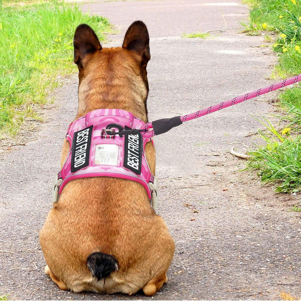 Beebiepet Tactical No Pull Dog Harness with Leash - Pink Camo / Small - image 3