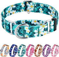 Hikiko nylon martingale dog collar without buckle