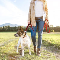 TwoEar 4FT 1IN Strong Red Dog Leash with 2 Padded Handles, Traffic Handle Extra Control, Comfortable Soft Dual Handle, Auto Lock Hook, Reflective Walking Lead for Small Medium and Large Dogs