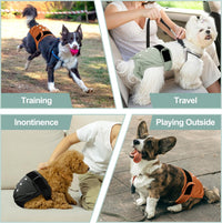 Washable Female Dog Diapers - Large（15"-17"Waist） / coffee&black&gery - image 3